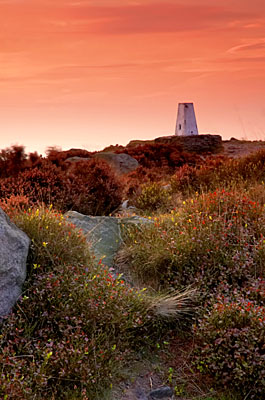 Trig Point 